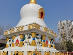 -护国法轮寺