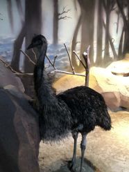 -酷嗒动物文化乐园(cutezoo西溪乐天城店)