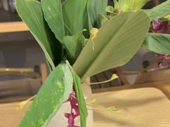 -佛有缘素食馆·荔湾老字号(陈家祠首店)