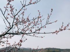 -石湖景区