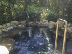 -凤翔首邑温泉度假村