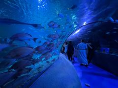 -太平洋海底世界