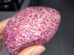 紫薯q仔-丁香西饼屋(桂林路店)