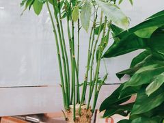 -张钰强中医正骨推拿连锁(唐家人才公寓店)