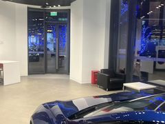 -TESLA 特斯拉(上海太古汇体验店)