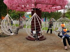 -长洲岛都市农业公园