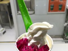 -Salud撒露欧洲冻酸奶(北苑上品店)