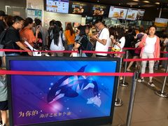 -汉堡王(海昌海洋公园店)
