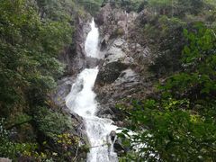 -九龙江国家森林公园