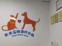 -美美宠物诊疗中心·异宠·骨科(滨江东信分院)