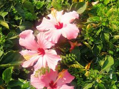 -人民公园(罗湖区)