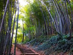 -西湖风景区十里琅珰-五云山