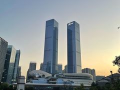 -杨姨妈丝娃娃(花果园店)