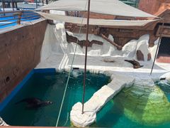 -秦皇岛乐岛海洋王国