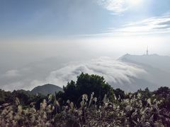 -梧桐山风景名胜区