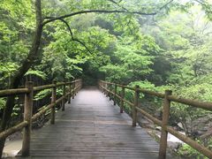 -溪口-滕头旅游景区