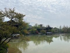 -春色如许·茶食餐厅(桃李春风店)