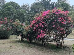 -北海市海滨公园