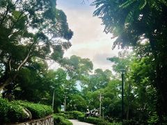 -郑和公园