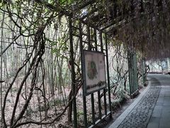 -苏州太湖国家湿地公园