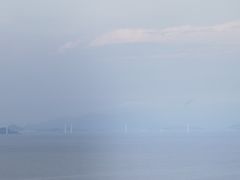 -东澳岛