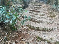 -杭州黄龙洞