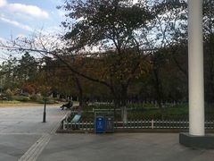 -南京外国语学校(仙林分校西区)