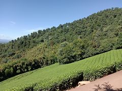 -敬亭山风景名胜区