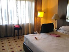 -新加坡乌节希尔顿酒店 (SG Clean)