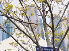 -陆家嘴中心绿地