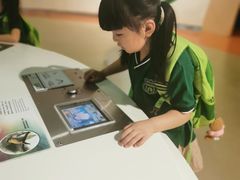 -第壹宝贝儿童教育中心(朝阳校区)