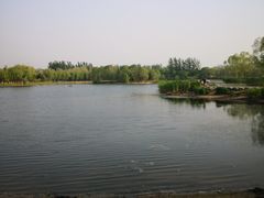 -大兴滨河森林公园