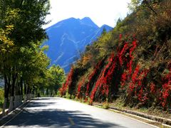 -乌龙峡谷景区
