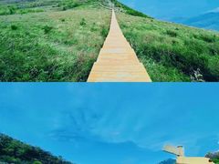 -白草畔自然风景区