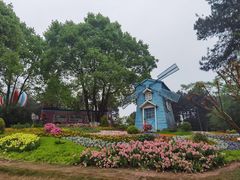 -铁山坪森林公园