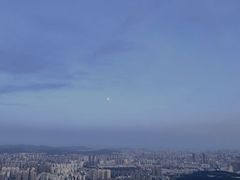-长虫山生态公园风景林