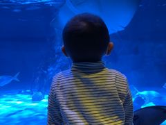 -沈阳海洋探索中心