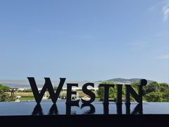 -舟山朱家尖威斯汀酒店·知味标帜自助餐厅