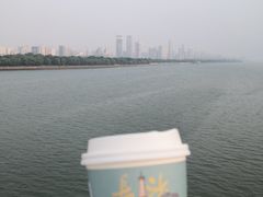 -茶颜悦色(登高路上店)