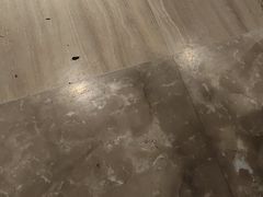 -海派美食·家宴海鲜青岛菜·石锅鲽鱼头(东方城店)