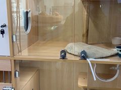 -COLOR PETS 撸猫馆·购猫·猫咖(长风大悦城店)