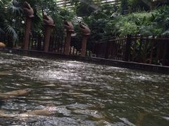 -龙达温泉生态城
