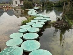 -靖西鹅泉风景区