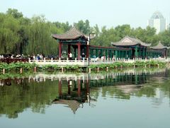 -莲花池公园