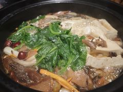 -中8楼风尚云南菜(颐堤港店)