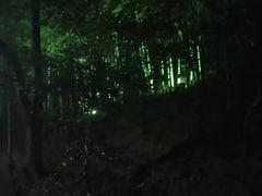 -峙山公园