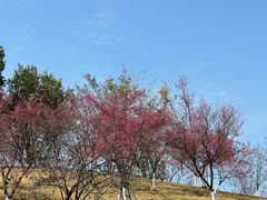 -河源客家文化公园