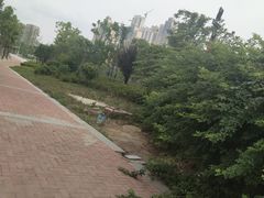 -张之洞与武汉博物馆