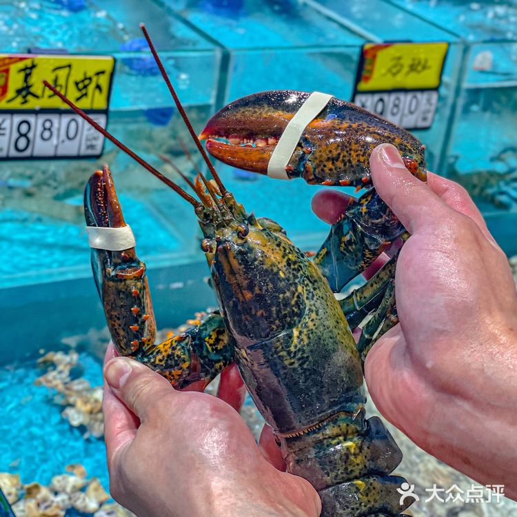 广州1⃣秒爆膏的罗氏虾🦐让我欲罢不能‼