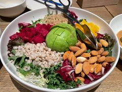 芥子酱羽翼甘蓝沙拉-小大董·烤鸭(凤凰汇店)